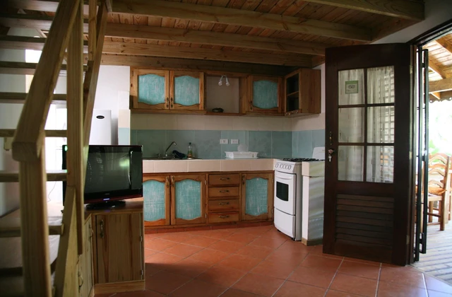 India Canela Residence Las Terrenas Apartment Kitchen 1